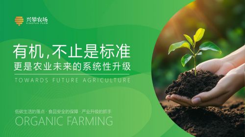 绿色增长的新动能兴攀农场迈向有机农业价值链的中枢角色(图2)
