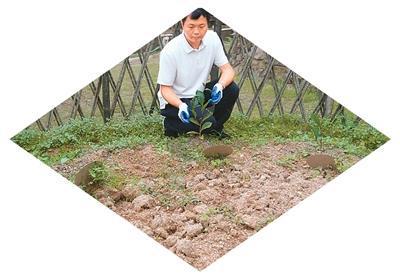 种子遨游太空未来绽放田间(图2)