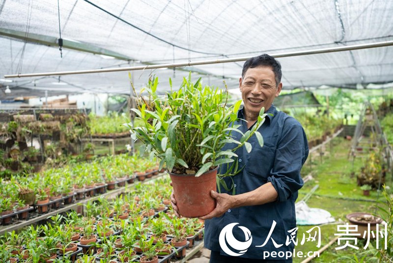 贵州千亿级林下经济产业蹚出生态富民新路(图3)