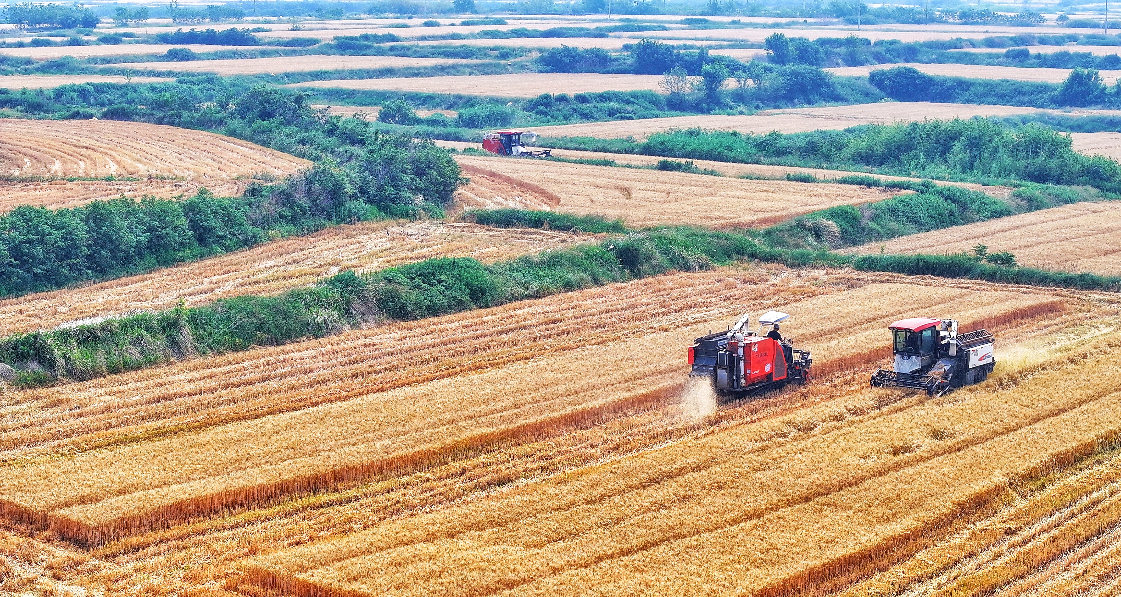 AI时政画报｜大农业的路子宽又阔(图2)