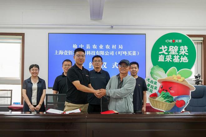 从西北戈壁走出的“顶流蔬菜”凭啥出圈？(图4)