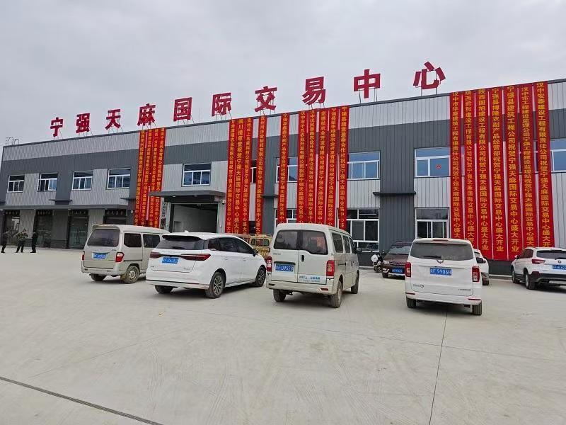 天赐“神药”天麻的“宁强传奇”(图1)