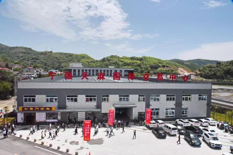 天赐“神药”天麻的“宁强传奇”(图2)