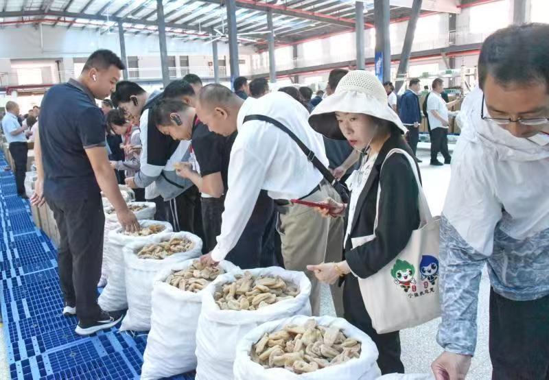 天赐“神药”天麻的“宁强传奇”(图3)