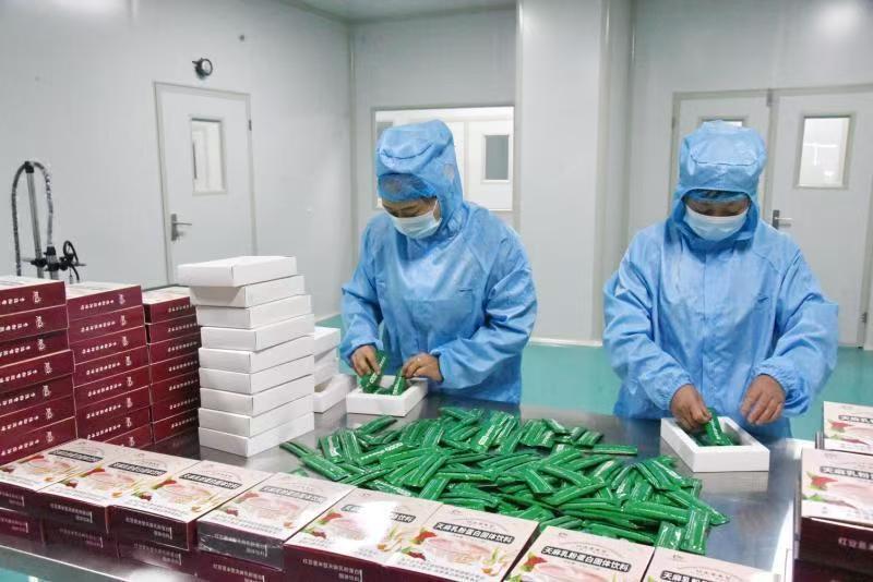 天赐“神药”天麻的“宁强传奇”(图10)