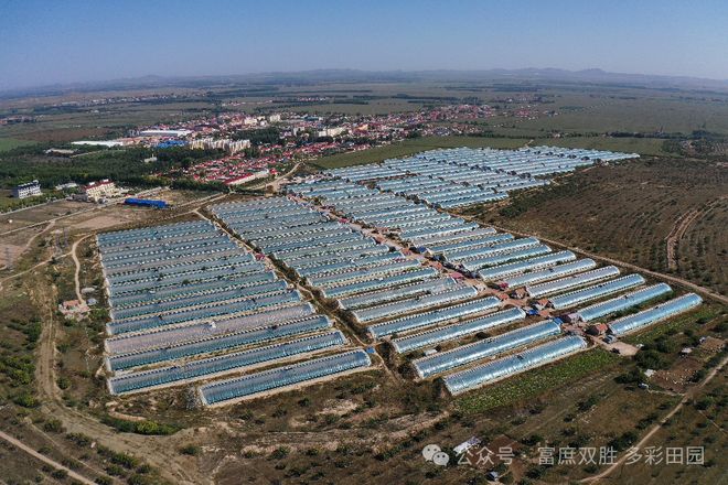 一棚纯利15万！科左后旗双胜村百栋蔬菜大棚‘种’出富民强村路(图4)