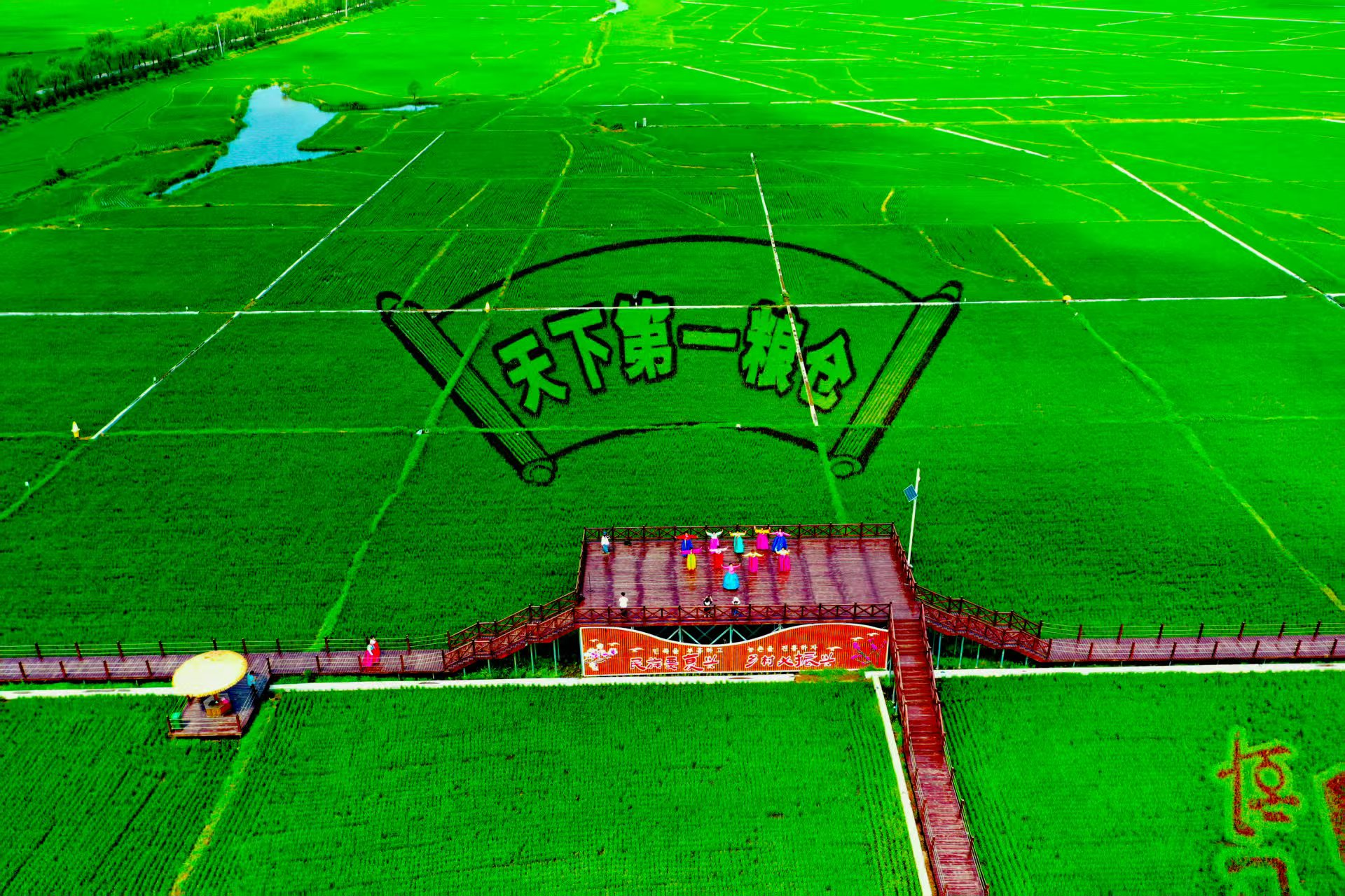 吉林大米十大地理标志榆树大米:科技驱动品质升级品牌建设跑出“加速度”(图1)