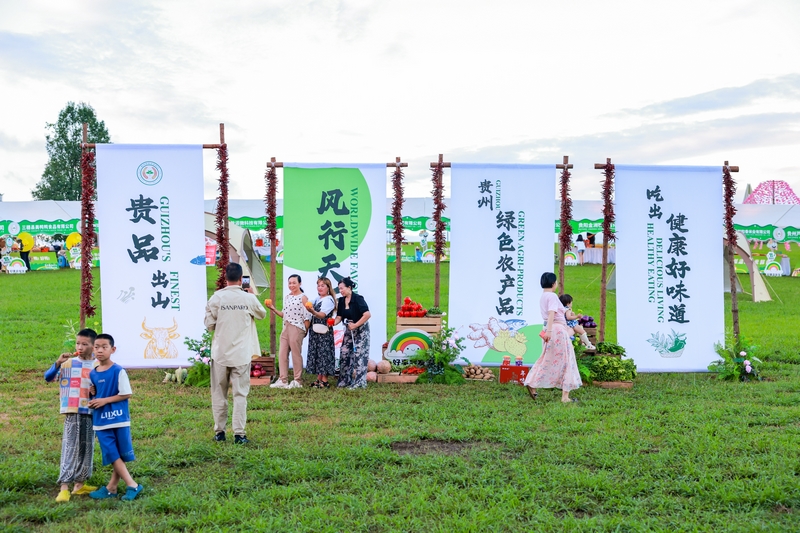 贵州抹茶：从展会热销到全球飘香(图3)