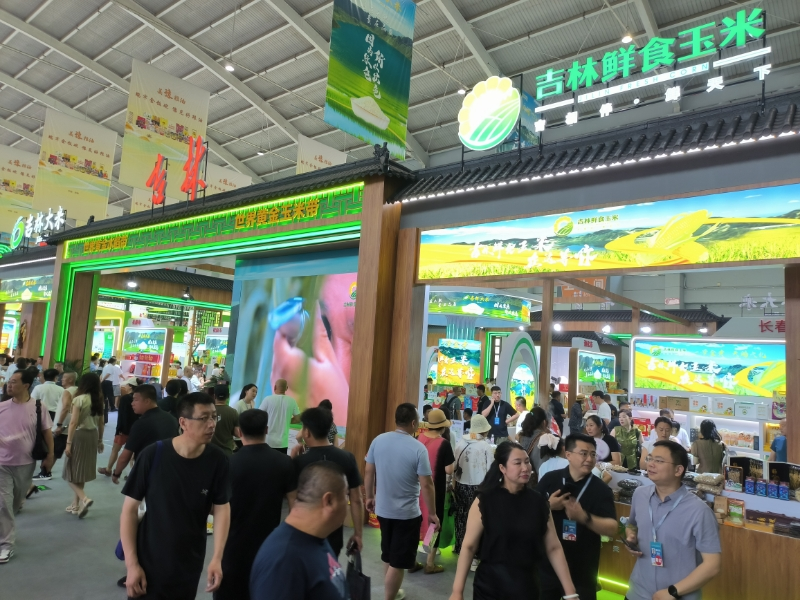 吉林鲜食玉米五大地理标志品牌公主岭玉米：黄金带上的金色产业(图2)