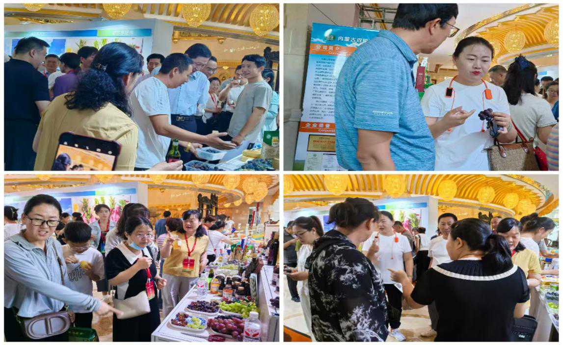 乌海市携特色葡萄与葡萄酒亮相绿色农业盛会展现北纬39度黄金产区魅力(图2)