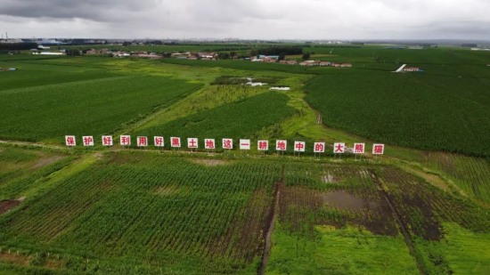 吉林鲜食玉米五大地理标志品牌四平玉米：黑土孕育的品质标杆(图4)