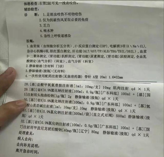 男友还原女子在三亚被蛇咬身亡过程酒店附近散步被蛇咬伤(图3)