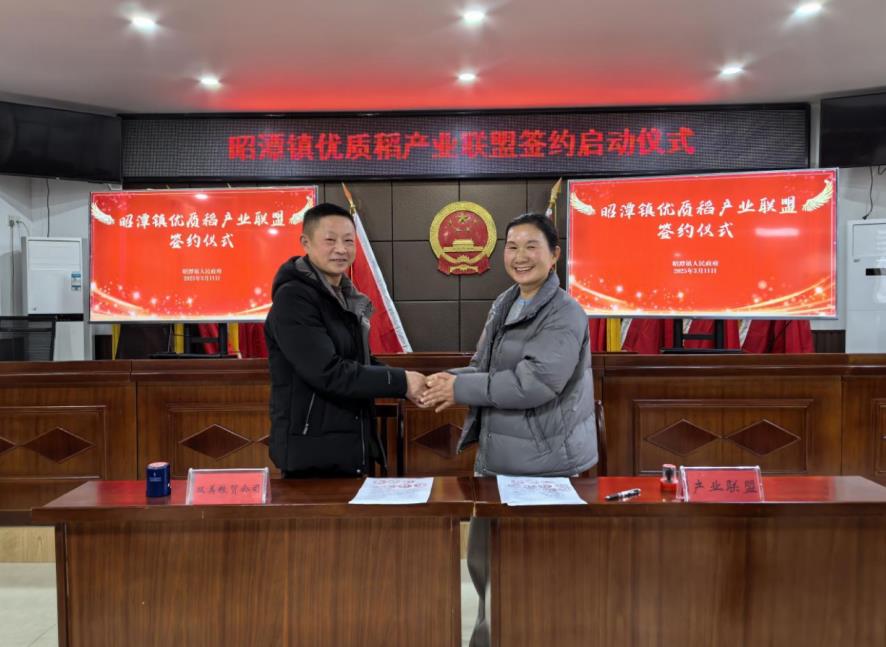 安徽东至：有机稻香溢振兴路(图2)