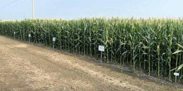 科技赋能绿色共生----中化农业MAP发布《2024绿色高质量发展报告(图5)