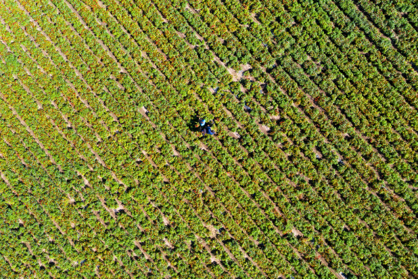 看天津“小镇味道”如何开拓全球味觉版图(图1)