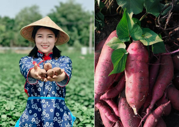 看天津“小镇味道”如何开拓全球味觉版图(图3)