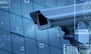 2024绿色食品行业现状深度调研与发展潜力分析(图4)