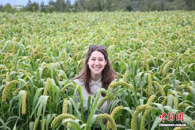 第三届世界有机示范区大会大同开幕全球专家共议有机农业助推县域发展(图3)