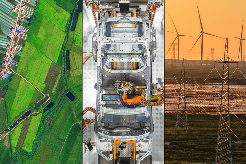 白山松水好“风光”(图1)