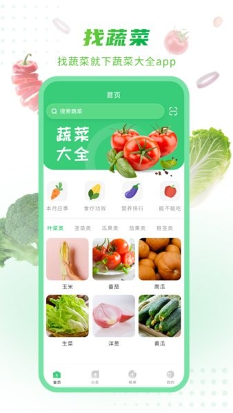 有机蔬菜大全(图1)
