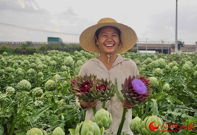 “云菜”不“菜”！(图4)