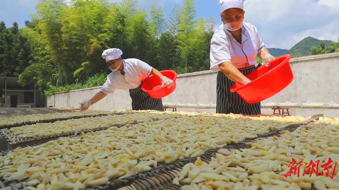 优质“湘字号”土特产端上市民餐桌截至2024年底全国绿色有机地标农产品获证单位逾36万家产品总数超76万个(图4)