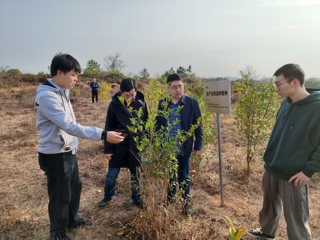 国际森林日丨2024年我国森林食物产量超2亿吨如何向要食物?(图1)