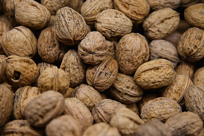 国际森林日丨2024年我国森林食物产量超2亿吨如何向要食物?(图2)