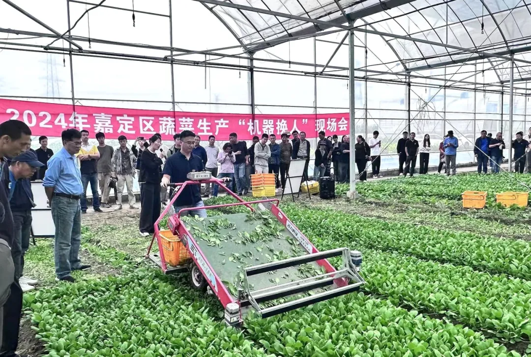 新设备为田间添动力嘉定开展2024年蔬菜生产“机器换人”现场会(图1)