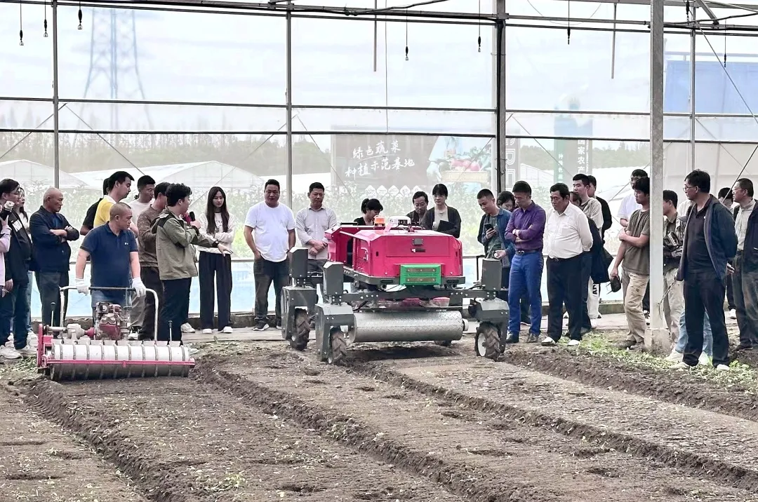 新设备为田间添动力嘉定开展2024年蔬菜生产“机器换人”现场会(图3)