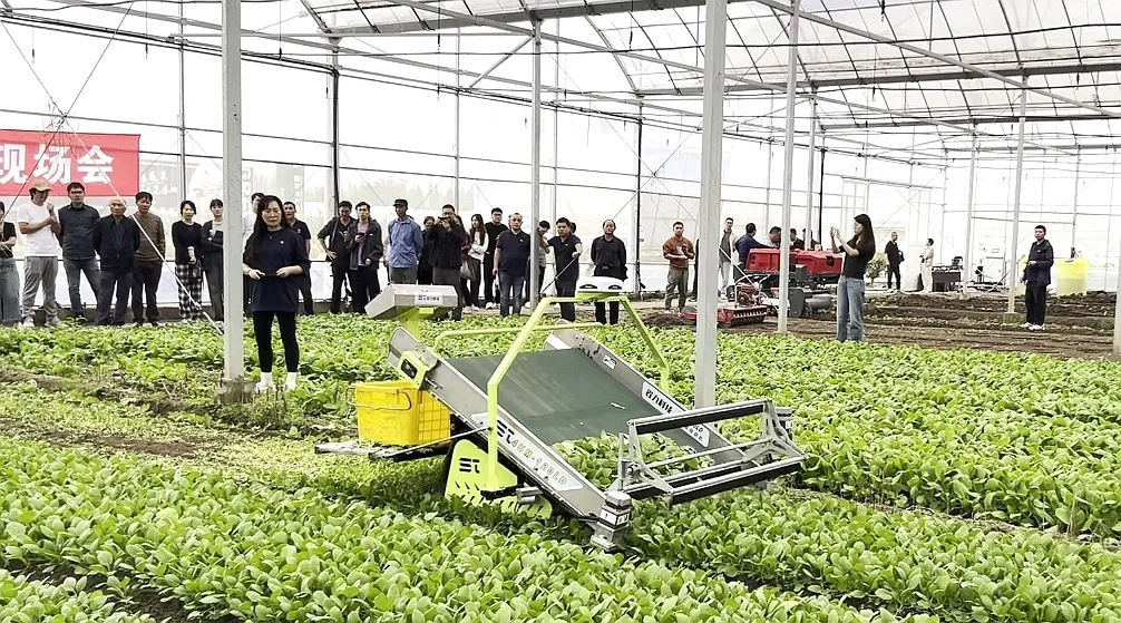 新设备为田间添动力嘉定开展2024年蔬菜生产“机器换人”现场会(图4)