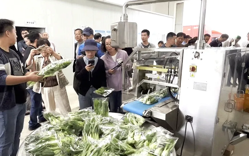 新设备为田间添动力嘉定开展2024年蔬菜生产“机器换人”现场会(图5)