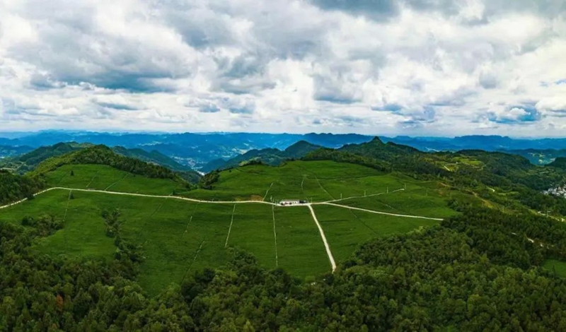 贵州铜仁：守护绿水青山换得金山银山(图2)