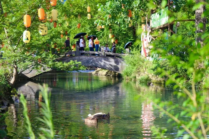 贵州铜仁：守护绿水青山换得金山银山(图4)