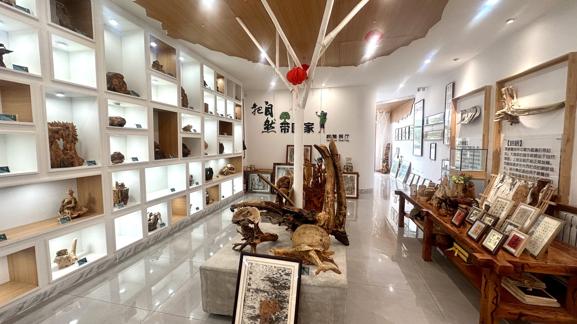 走上高高的兴安岭|青山绿水长出“美丽经济”(图2)