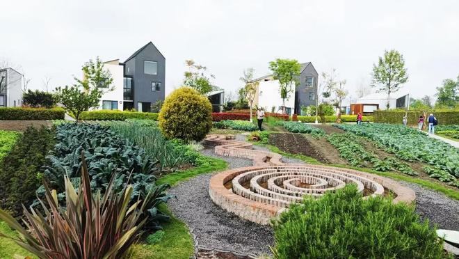 从有机农业延伸到有机旅行将催生更大机遇期？(图2)