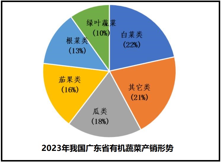 2024年有机蔬菜行业现状分析：我国有机蔬菜播种面积达到2302978千公顷(图1)