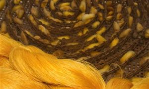 有机农业行业深度分析2024(图2)