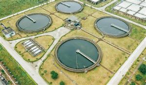 有机农业行业深度分析2024(图3)