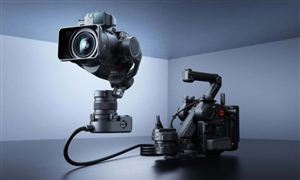 有机农业行业深度分析2024(图6)