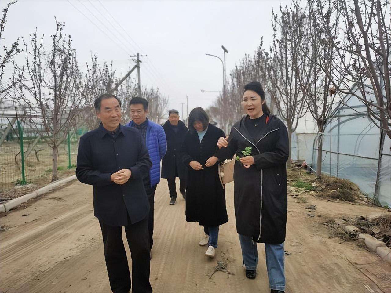 梨园春银牌擂主申慧萍：走进田间地头为粉丝唱大戏(图2)