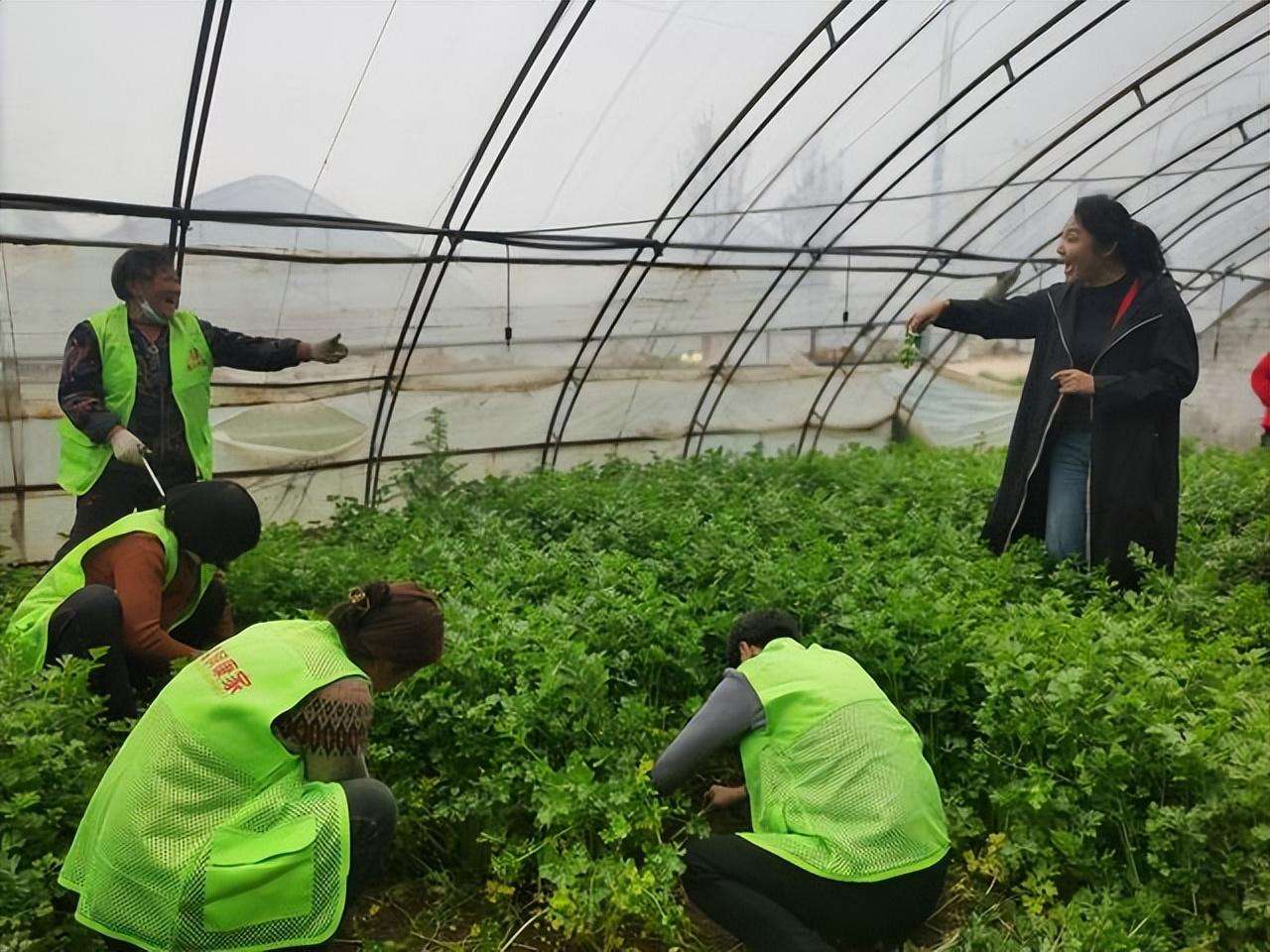梨园春银牌擂主申慧萍：走进田间地头为粉丝唱大戏(图3)