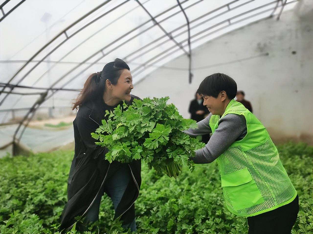 梨园春银牌擂主申慧萍：走进田间地头为粉丝唱大戏(图4)