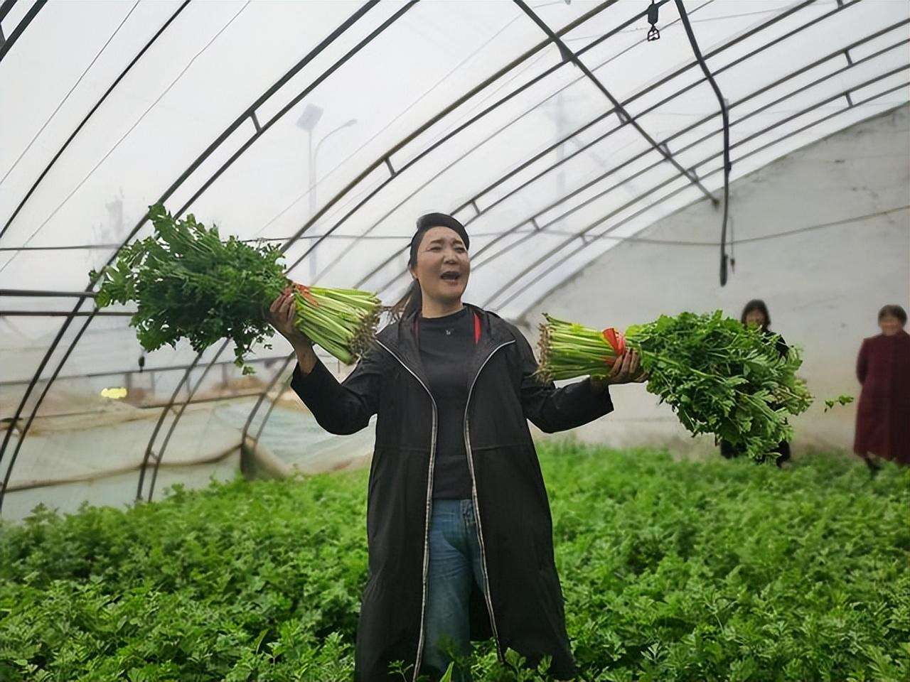 梨园春银牌擂主申慧萍：走进田间地头为粉丝唱大戏(图5)