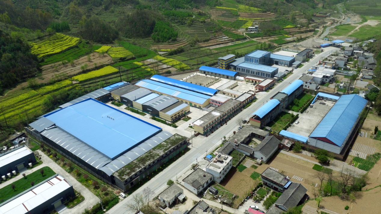 从各自为政到共同富裕——康县省级现代农业产业园的振兴探索(图1)