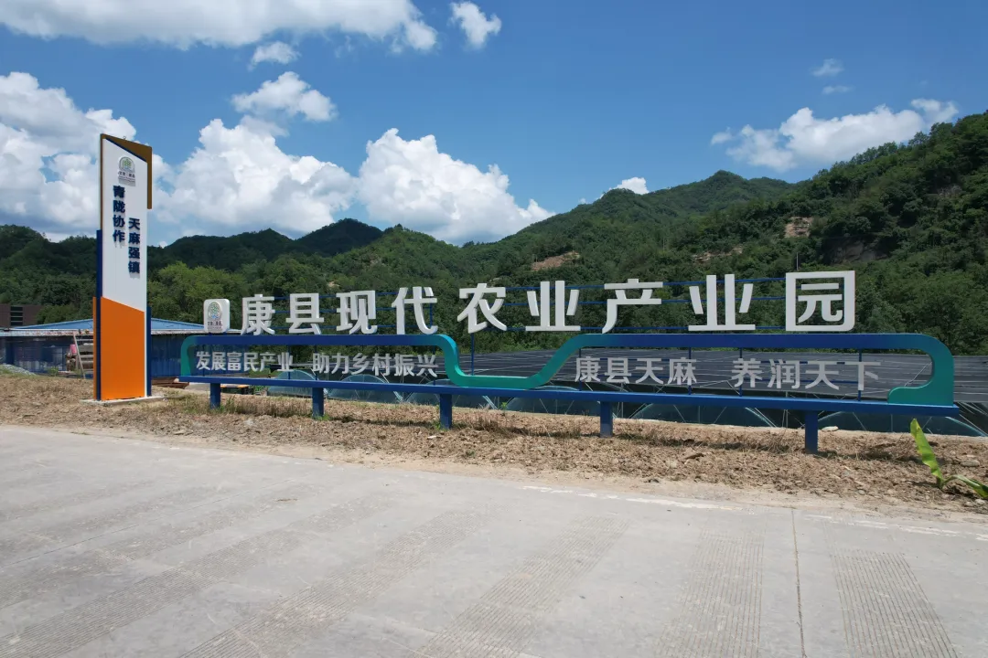 从各自为政到共同富裕——康县省级现代农业产业园的振兴探索(图2)