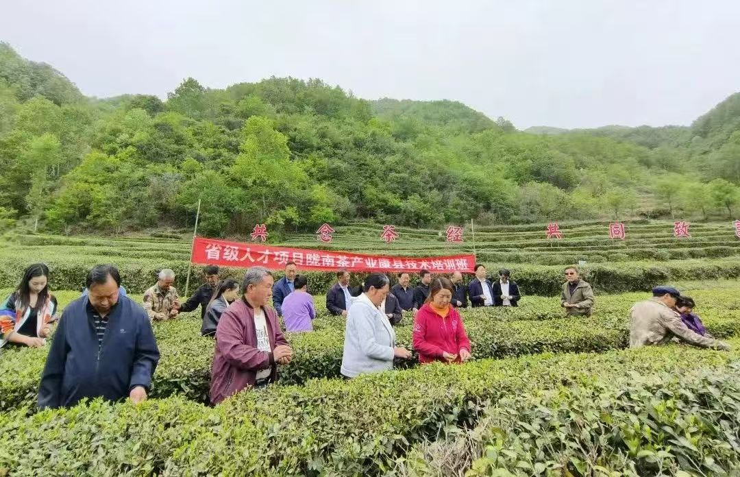 从各自为政到共同富裕——康县省级现代农业产业园的振兴探索(图5)