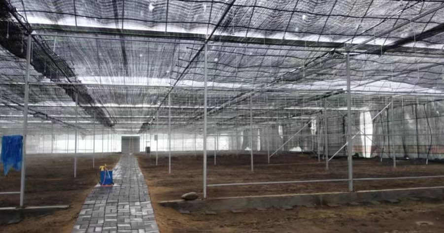 从各自为政到共同富裕——康县省级现代农业产业园的振兴探索(图10)