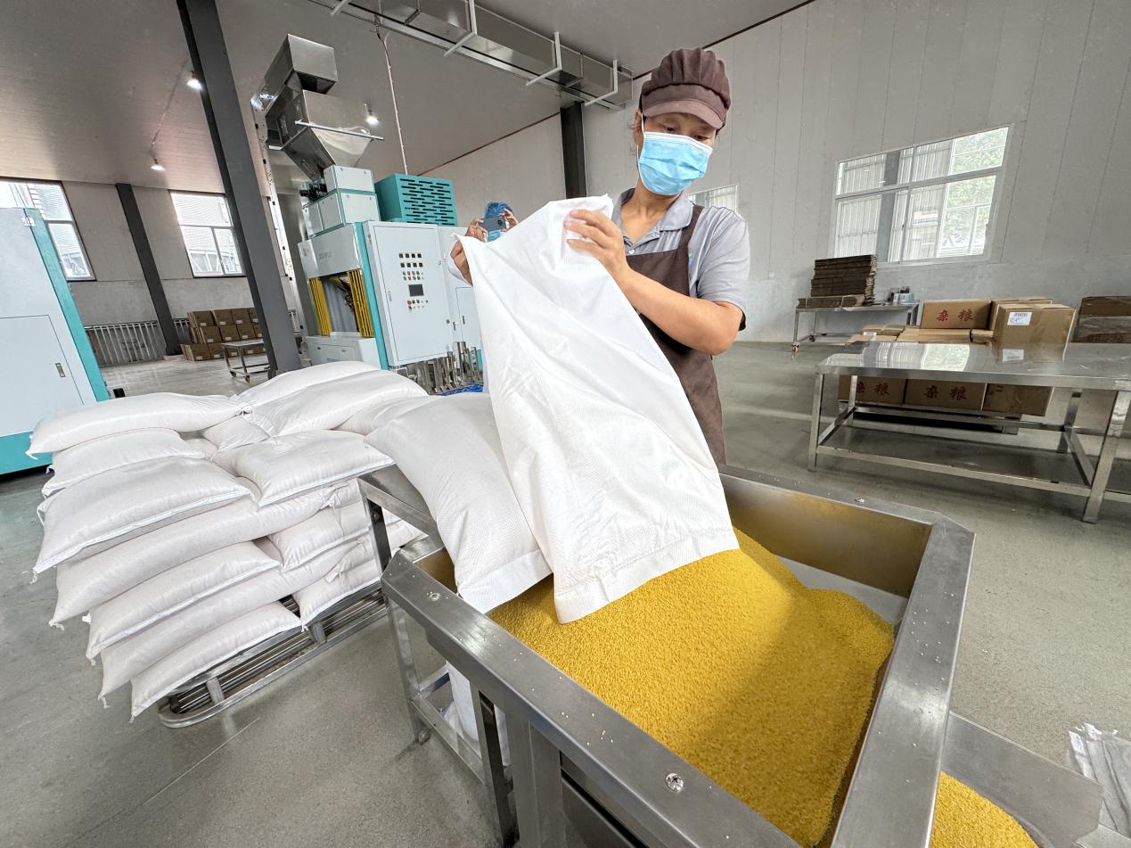 辽宁朝阳：小杂粮“链”出大产业(图4)