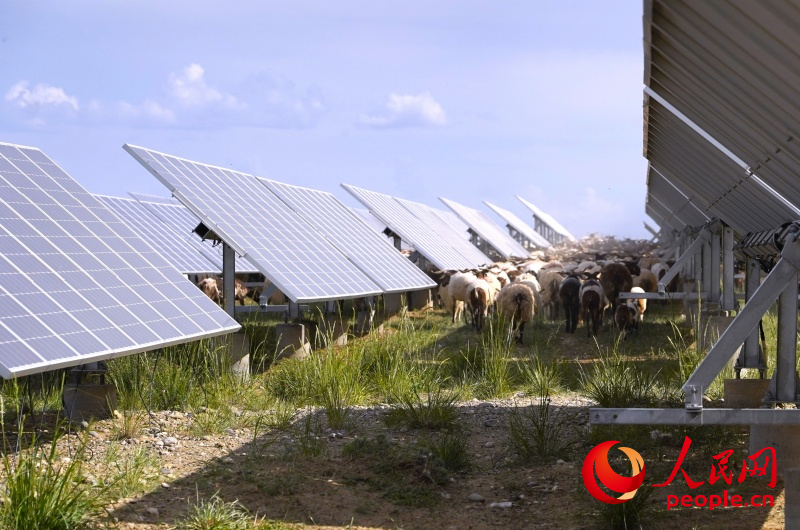 数云数电数青山(图3)